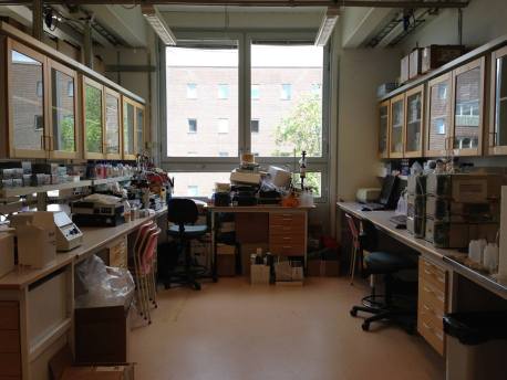 1. In the beginning there was....jpg